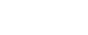 Day AI